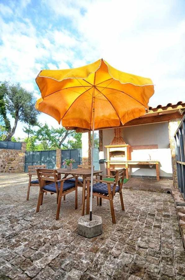 Casa Das Vinhas Camelias De Bastoturismo Rural Celorico De Basto Ngoại thất bức ảnh