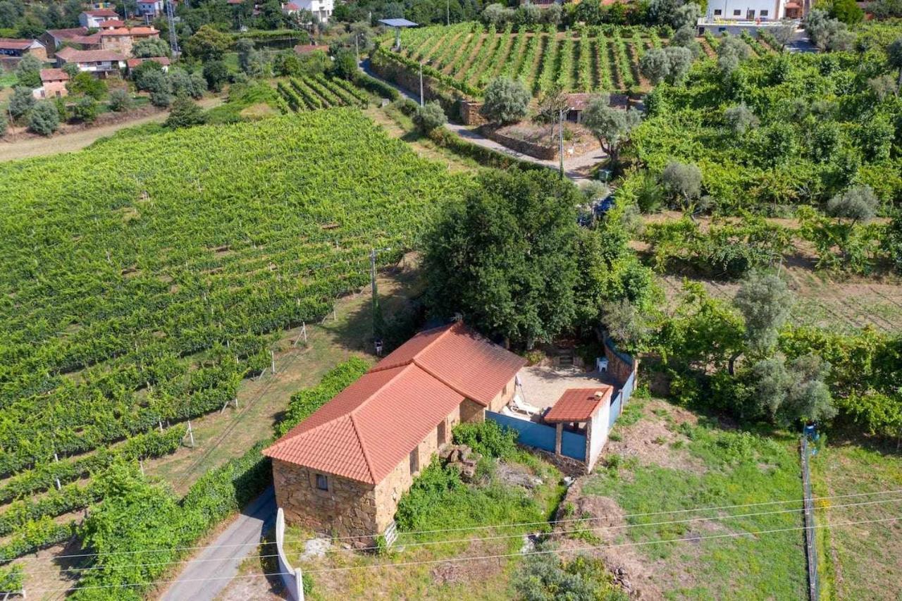 Casa Das Vinhas Camelias De Bastoturismo Rural Celorico De Basto Ngoại thất bức ảnh