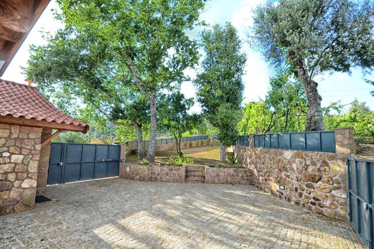 Casa Das Vinhas Camelias De Bastoturismo Rural Celorico De Basto Ngoại thất bức ảnh