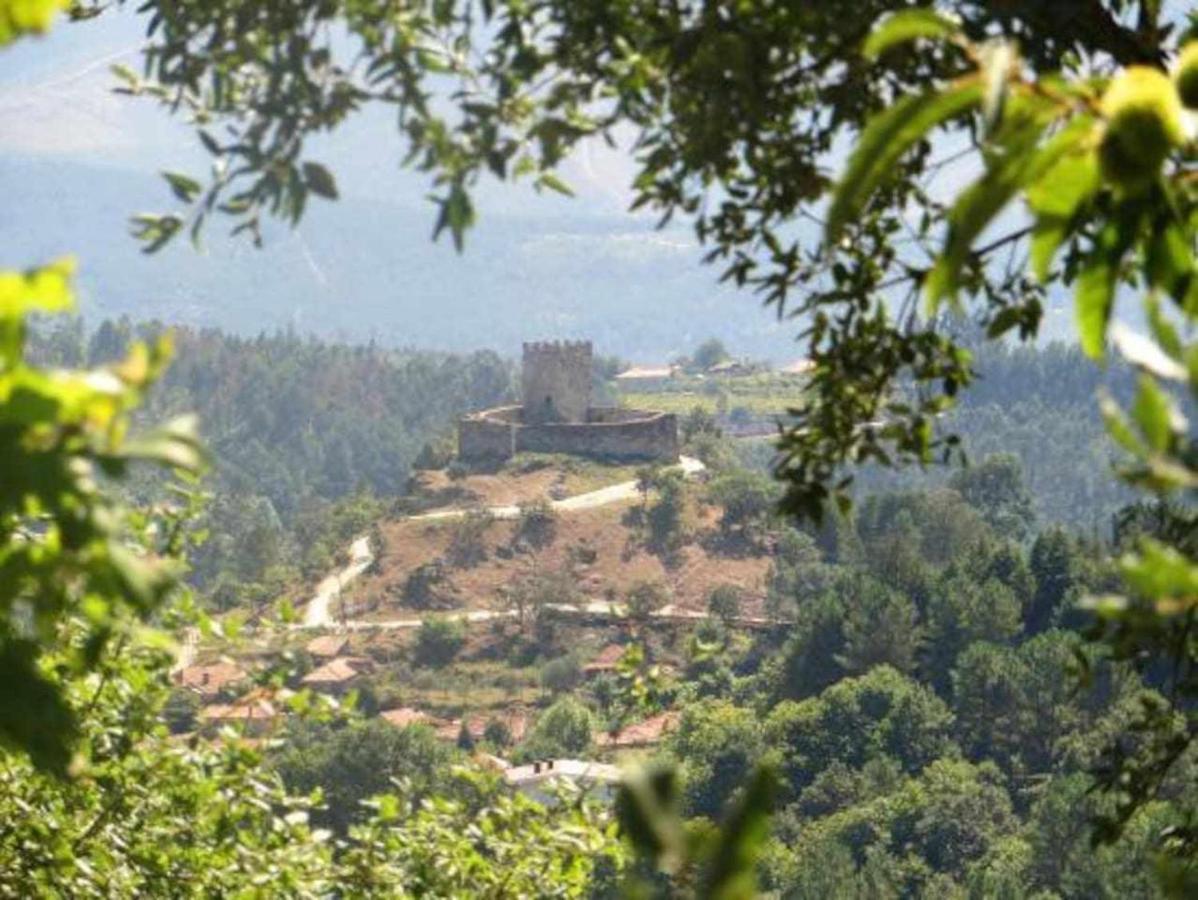 Casa Das Vinhas Camelias De Bastoturismo Rural Celorico De Basto Ngoại thất bức ảnh