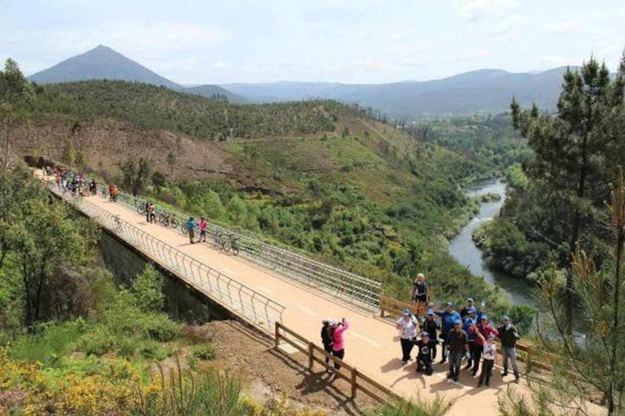 Casa Das Vinhas Camelias De Bastoturismo Rural Celorico De Basto Ngoại thất bức ảnh