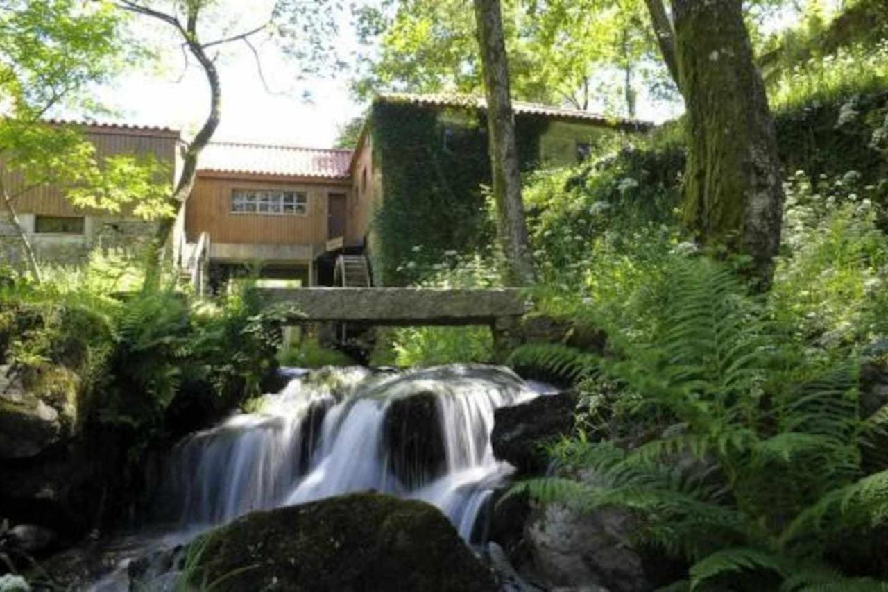 Casa Das Vinhas Camelias De Bastoturismo Rural Celorico De Basto Ngoại thất bức ảnh
