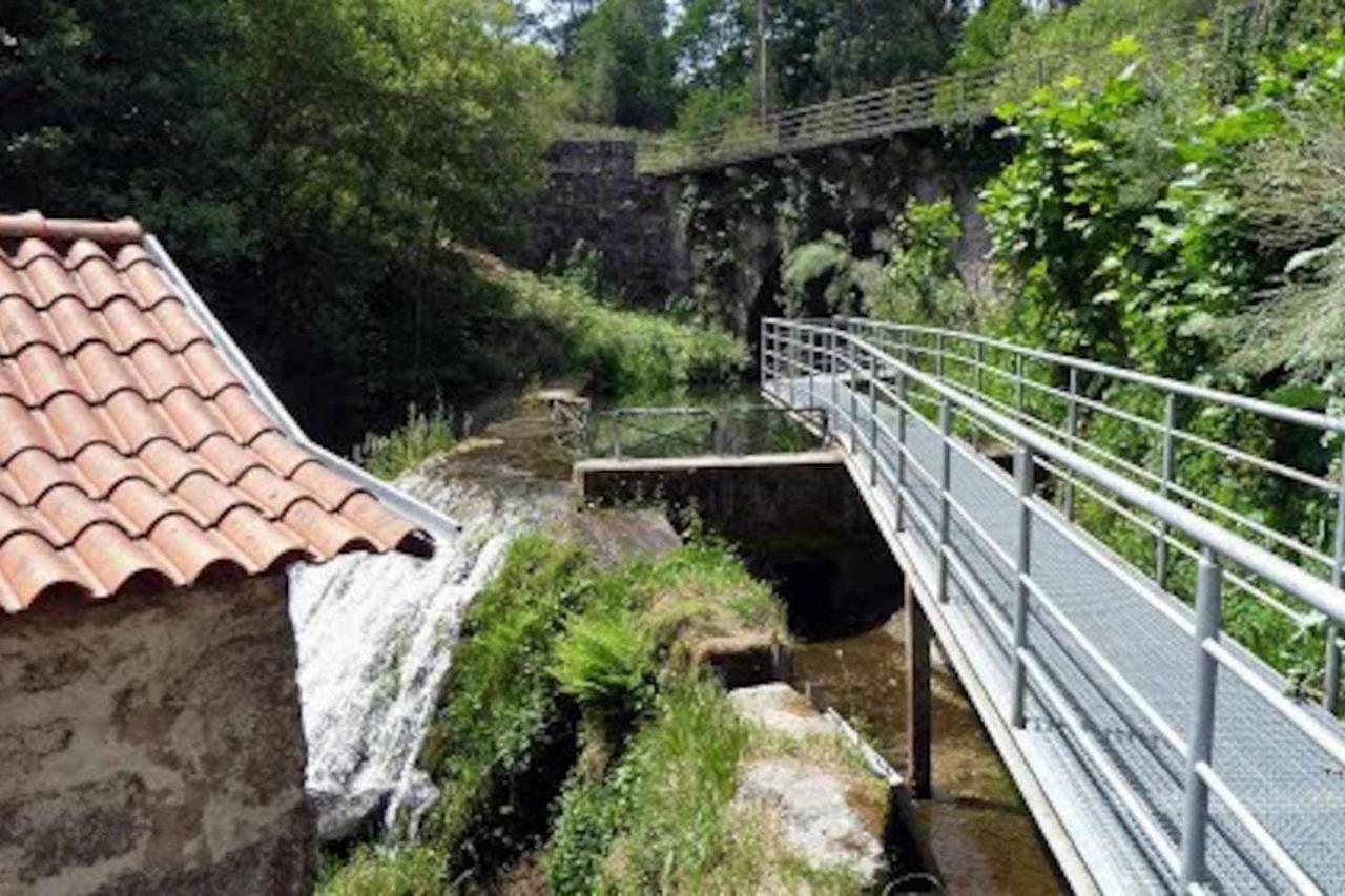 Casa Das Vinhas Camelias De Bastoturismo Rural Celorico De Basto Ngoại thất bức ảnh